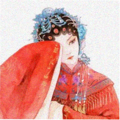观众林女士头像